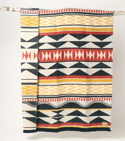 Generations Reversible Blanket